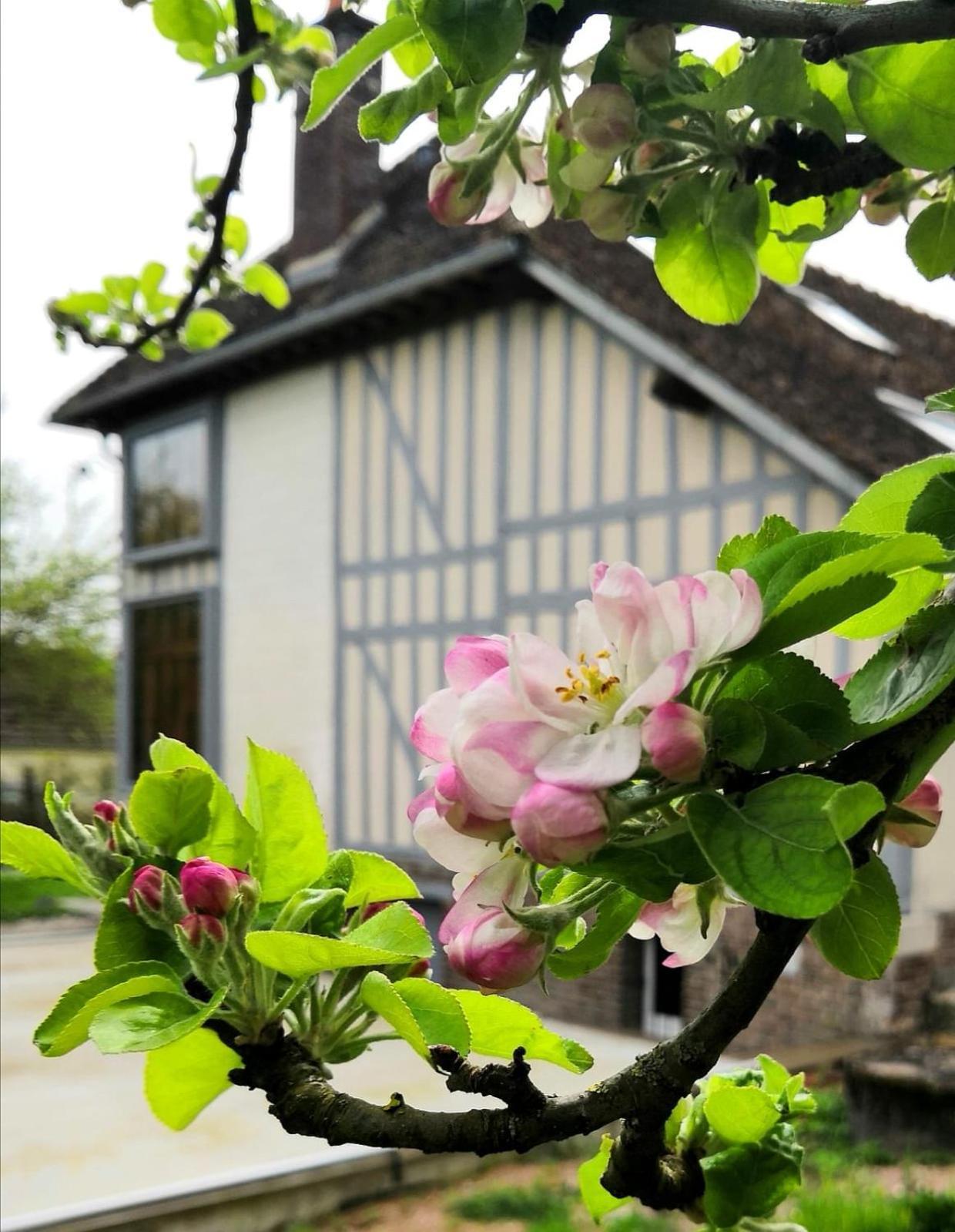 Bed and Breakfast Sous Les Toits Dosches Exterior foto